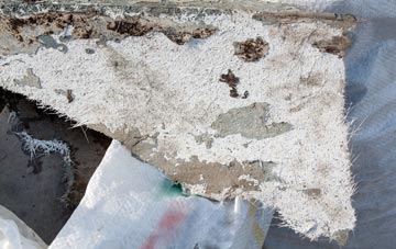 fibreglass roof repair Worms Ash, Worcestershire