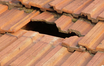 roof repair Worms Ash, Worcestershire