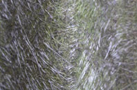 Worms Ash fibreglass roof work